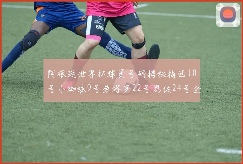 阿根廷世界杯球员号码揭秘梅西10号小蜘蛛9号劳塔罗22号恩佐24号全解析