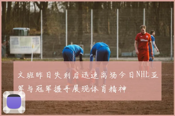 文班昨日失利后迅速离场今日NHL亚军与冠军握手展现体育精神