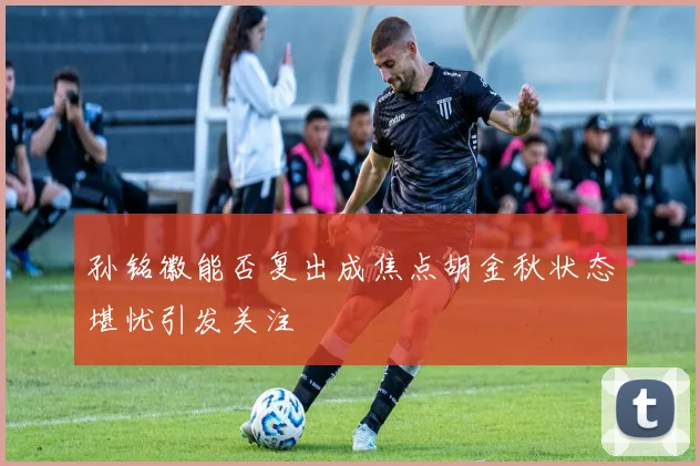 孙铭徽能否复出成焦点胡金秋状态堪忧引发关注