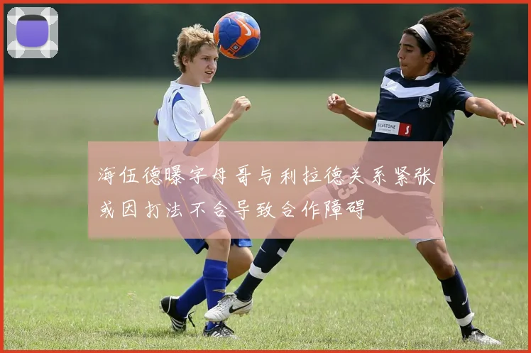 海伍德曝字母哥与利拉德关系紧张或因打法不合导致合作障碍