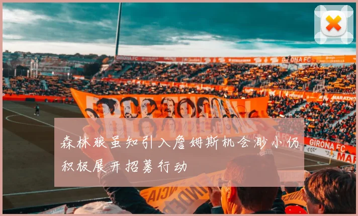 森林狼虽知引入詹姆斯机会渺小仍积极展开招募行动